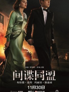 间谍同盟 Allied (2016)