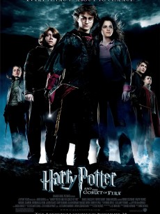 哈利·波特与火焰杯 Harry Potter and the Goblet of Fire (2005)