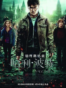 哈利·波特与死亡圣器(下) Harry Potter and the Deathly Hallows: Part 2 (2011)