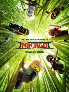 乐高幻影忍者大电影 The Lego Ninjago Movie (2017)