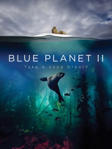 蓝色星球2 Blue Planet II (2017)