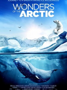 北极奇观 Wonders of the Arctic (2014)