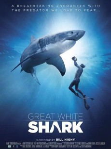 大白鲨 Great White Shark (2013)