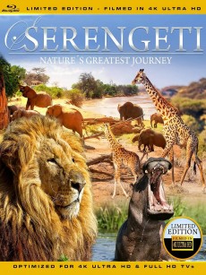 塞伦盖蒂：自然界最壮观的旅程 Serengeti: Nature’s Greatest Journey (2015)