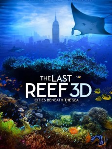 最后的珊瑚礁 The Last Reef: Cities Beneath the Sea (2012)