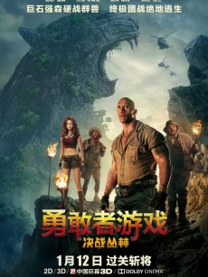 勇敢者游戏：决战丛林 Jumanji: Welcome to the Jungle (2017)