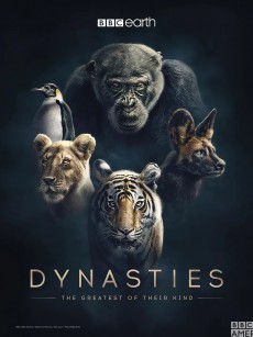 王朝 Dynasties (2018)