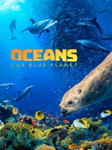 海洋：我们的蓝色星球 Oceans: Our Blue Planet (2018)