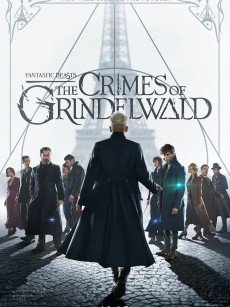 神奇动物：格林德沃之罪 Fantastic Beasts: The Crimes of Grindelwald (2018)