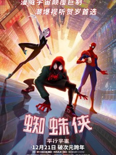 蜘蛛侠：平行宇宙 Spider-Man: Into the Spider-Verse (2018)