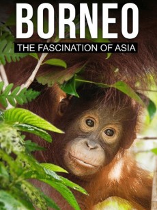 婆罗洲：亚洲的魅力 Borneo The Fascination of Asia (2017)