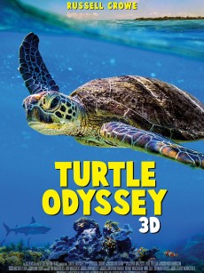 龟女士的奥德赛 Turtle Odyssey (2018)