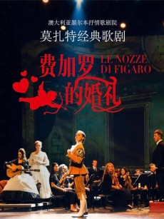 费加罗的婚礼 Mozart Le Nozze di Figaro (2015)
