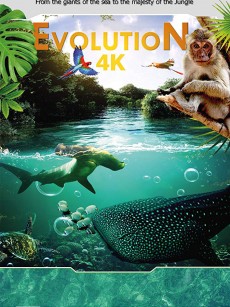 进化 Evolution(2018)