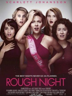 仓皇一夜 Rough Night (2017)