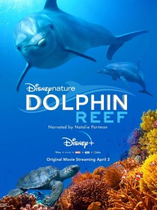 海豚礁 Dolphin Reef (2020)