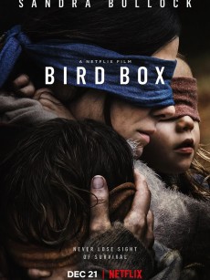 蒙上你的眼 Bird Box (2018)