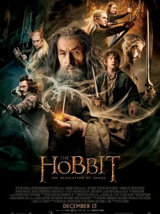 霍比特人2：史矛革之战 The Hobbit: The Desolation of Smaug (2013)