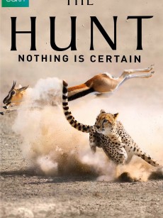 猎捕 The Hunt (2015)