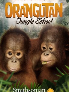 猩球学院 第1&2季  Orangutan Jungle School Season 1&2(2018)