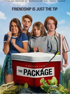 我的宝贝在哪里 The Package (2018)