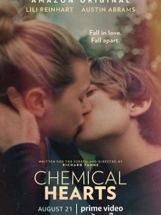 化学心脏 Chemical Hearts (2020)