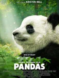 大熊猫 Pandas (2018)