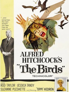 群鸟 The Birds (1963)