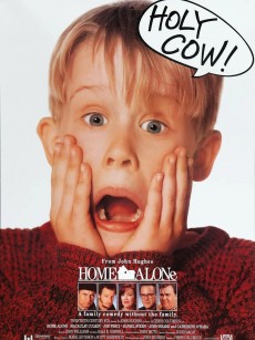 小鬼当家 Home Alone (1990)