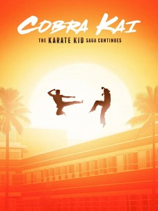 眼镜蛇 第一季 Cobra Kai Season 1 (2018)