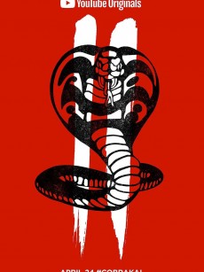 眼镜蛇 第二季 Cobra Kai Season 2 (2019)