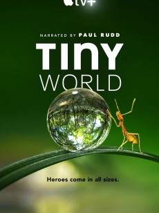 小小世界 第一季 Tiny World Season 1 (2020)