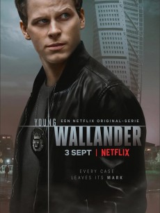 青年维兰德 第一季 Young Wallander Season 1 (2020)