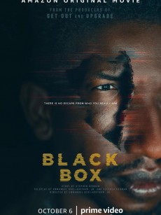 黑盒子 Black Box (2020)