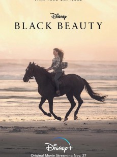 黑神驹 Black Beauty (2020)