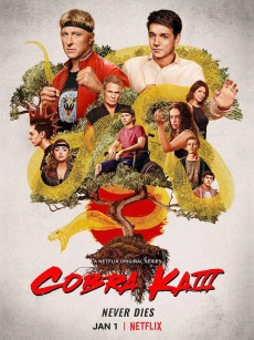 眼镜蛇 第三季 Cobra Kai Season 3 (2021)