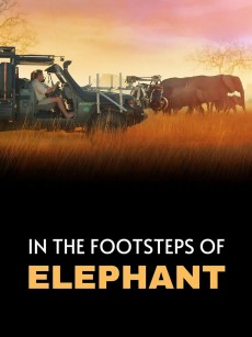 《大象》幕后特辑 In the Footsteps of Elephant (2020)