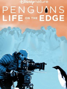 企鹅：极地追踪 Penguins: Life on the Edge (2020)