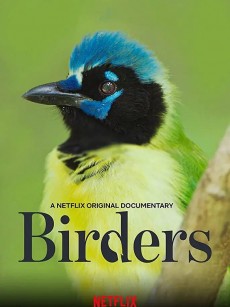 观鸟者 Birders (2019)