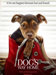 一条狗的回家路 A Dog’s Way Home (2019)