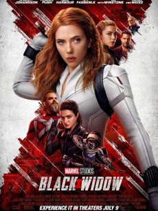 黑寡妇 Black Widow (2021)