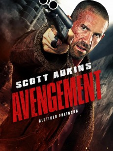 复仇者 Avengement (2019)