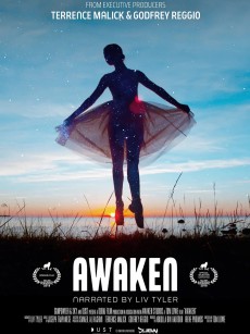 觉醒 Awaken (2018)