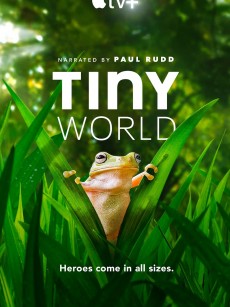 小小世界 第二季 Tiny World Season 2 (2021)