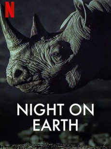 地球的夜晚 Night on Earth (2020)