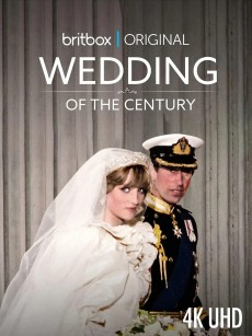 世纪婚礼 The Wedding of the Century (2021)