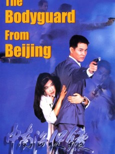 中南海保镖 中南海保镳 (1994)