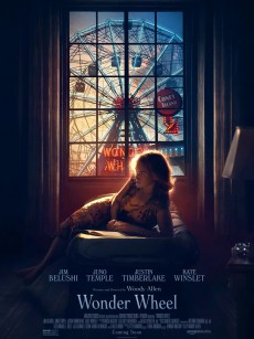 摩天轮 Wonder Wheel (2017)