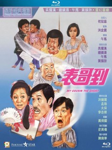 表哥到 (1987)