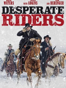 绝望的牛仔 Desperate Riders (2022)